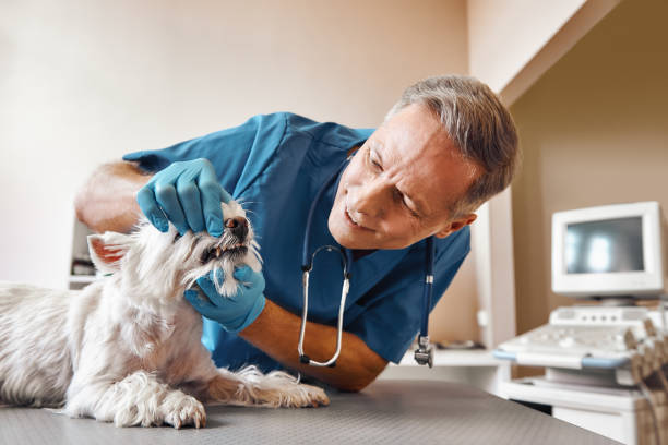 Best Emergency Dental Surgery in Fridley, MN